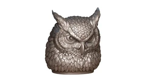 Owl 3