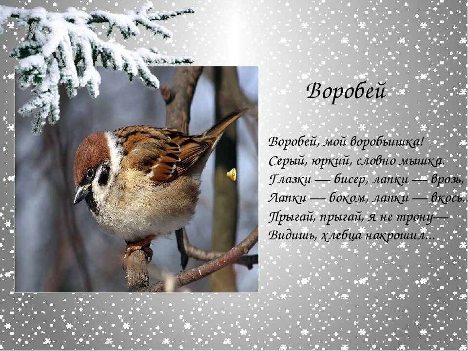Стихотворение черного воробей. Стих про воробья. стих про воробья для детей. стихи про воробья зимой. стихотворение воробышки.