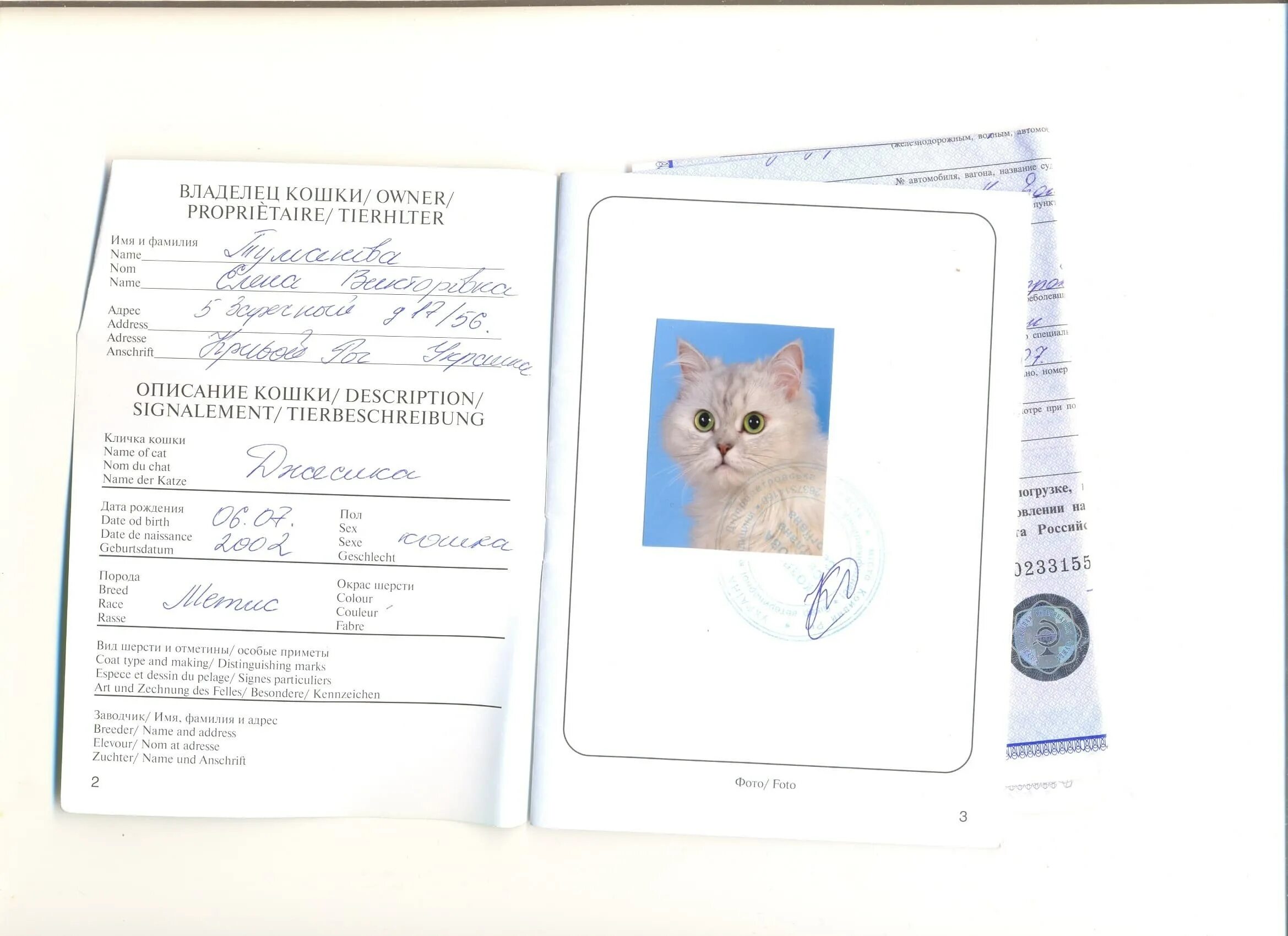 Международный паспорт для кошек. Заполнение международного ветеринарного паспорта для кошек. Международный ветеринарный паспорт для кошек образец заполнения. Пол кошки как писать. Ветпаспорт для кошки.