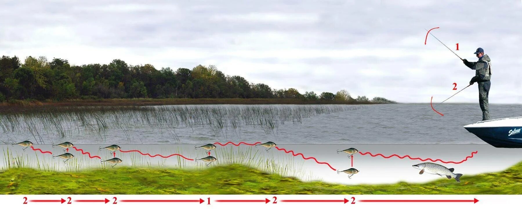 Спиннинг рыбалка на щуку с берега. Рыбалка на джиг с берега техника проводки. Техника проводки на щуку воблером. Проводка спиннингом. Проводки для рыбалки на щуку.