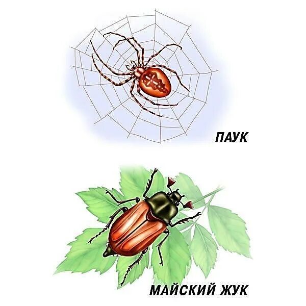 Летит пищит сядет