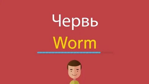 Червяков на английском