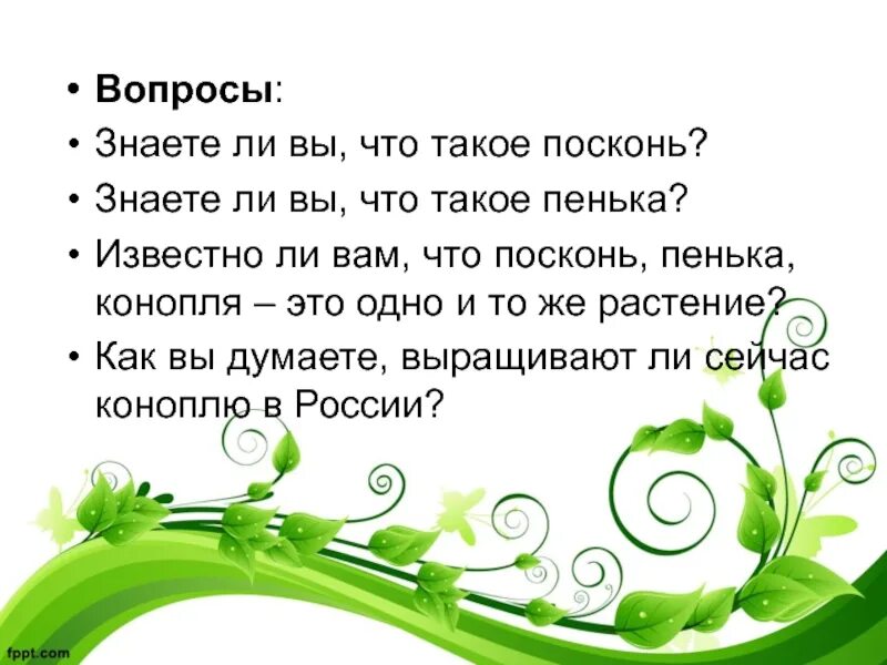 Знаете ли вы что. Знаете ли вы что это вопрос. Рубрика а знаете ли вы. Презентация знаете ли вы 1 класс. Знаешь ли т текст