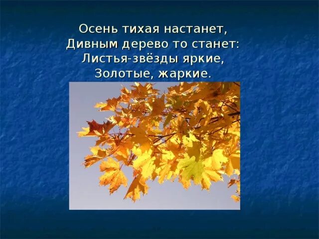 Осень тихою вдовой. Мчались листья звезды. И осень тихою вдовой вступает в пёстрый Терем свой как объяснить. Тихая вдова