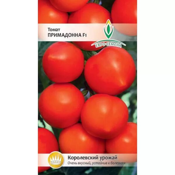 Томат примадонна урожайность. Сорт помидор Примадонна. Томат Примадонна ф1. Томат Примо ред f1. Томат гибрид Примадонна.
