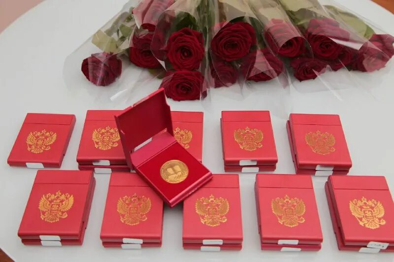 золотая медаль 2023 условия получения 11