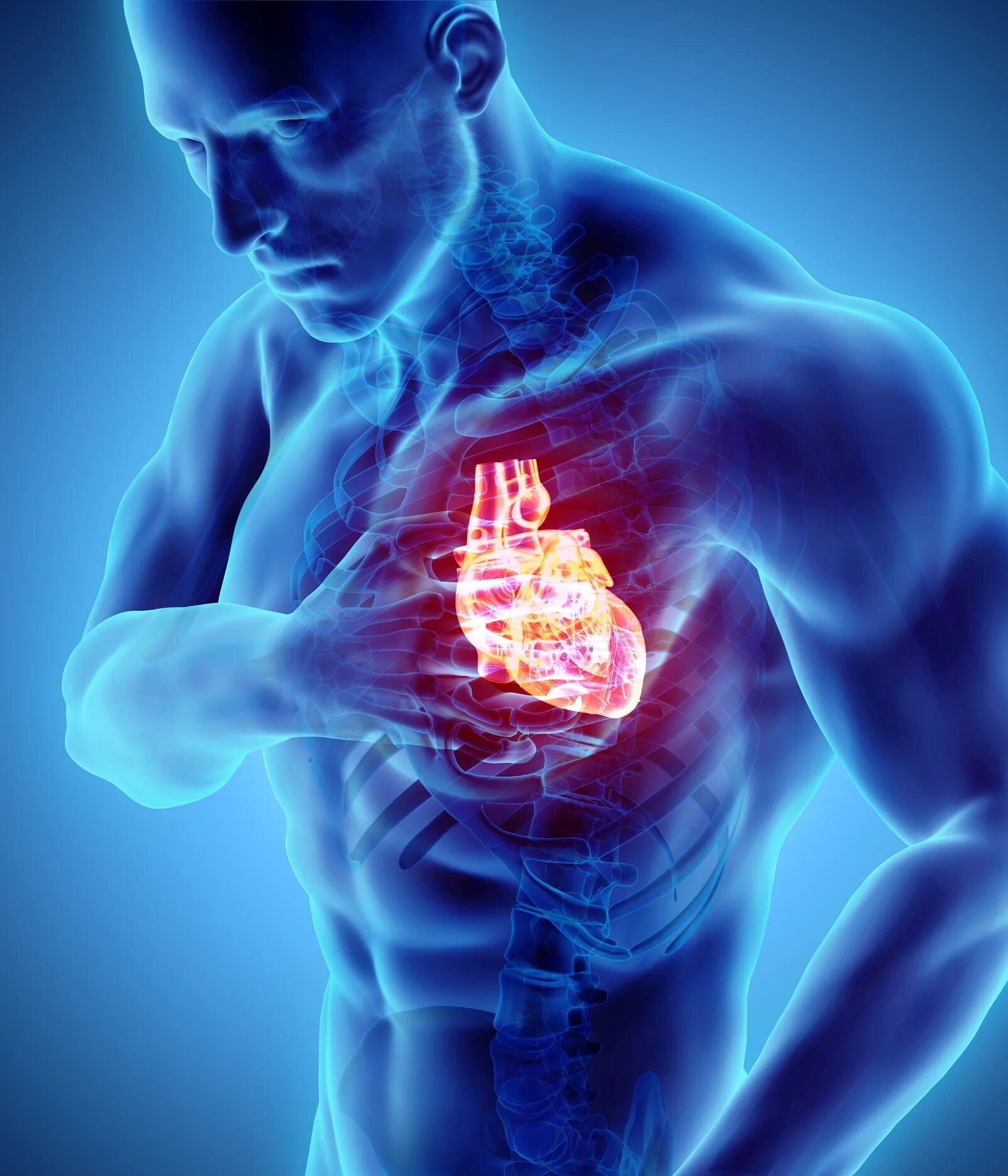 Здоровое сердце. Больное слабое сердце. Больное слабое сердце. Больное слабое сердце. Больное сердце.