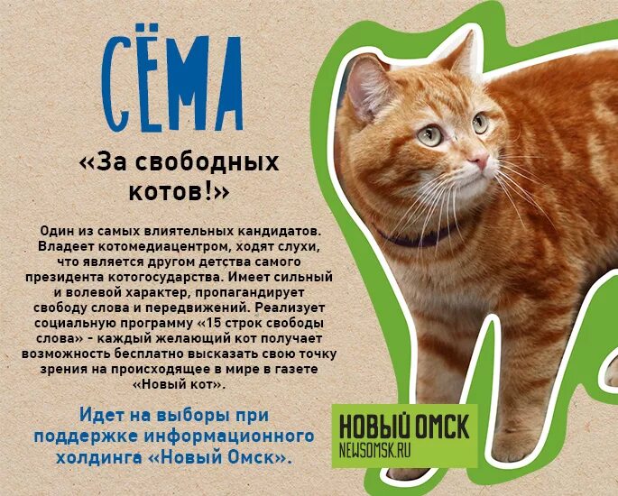 История слова кот. Кошачий вестник. кошачий вестник газета. свободный кот. кошачий вестник распечатать.