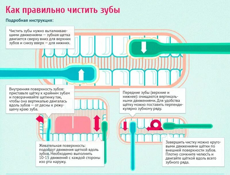 Как часто должны очищаться. Схема правильной чистки зубов. Правильная методика чистки зубов зубной щёткой. КСК праивльно чистить щубы. Првильнаячистка зубов.