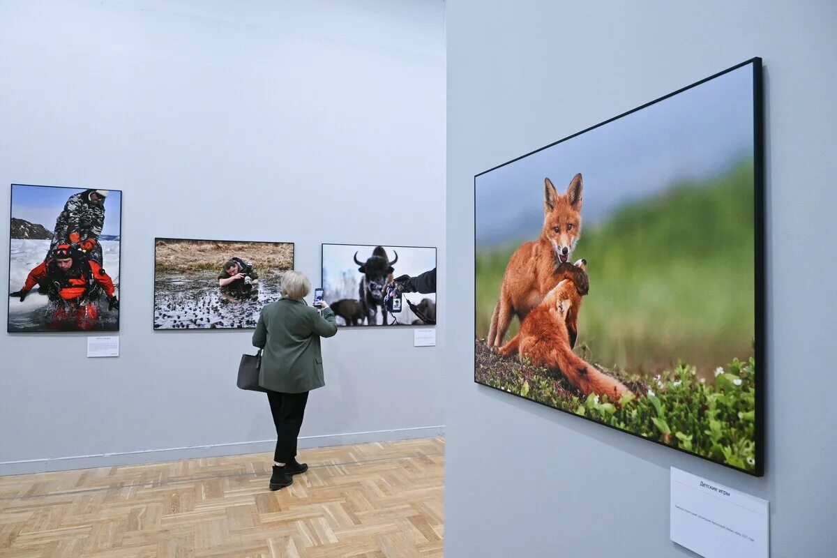 Первозданная россия 2024 для пенсионеров. Выставка фотографий в новой Третьяковке Первозданная Россия. Первозданная Россия выставка 2023. Выставка Первозданная Россия 2022 в Москве. Первозданная Россия выставка 2021.