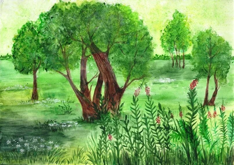 Лес рисунок для детей. Лес глазами детей конкурс. Лес моими глазами. Лес моими глазами. Детский рисунок лес.