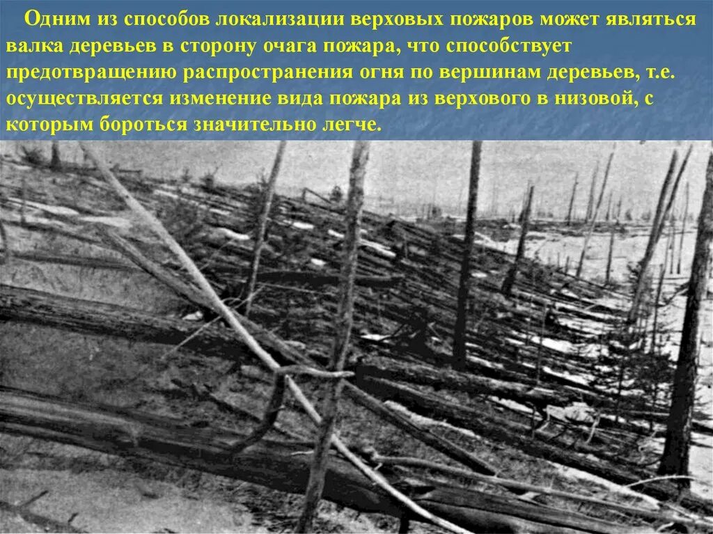 30 июня 1908. Тунгусский метеорит кратер. Взрыв Тунгусского метеорита. Тунгусский метеорит фото. Тунгусский метеорит поваленные деревья.