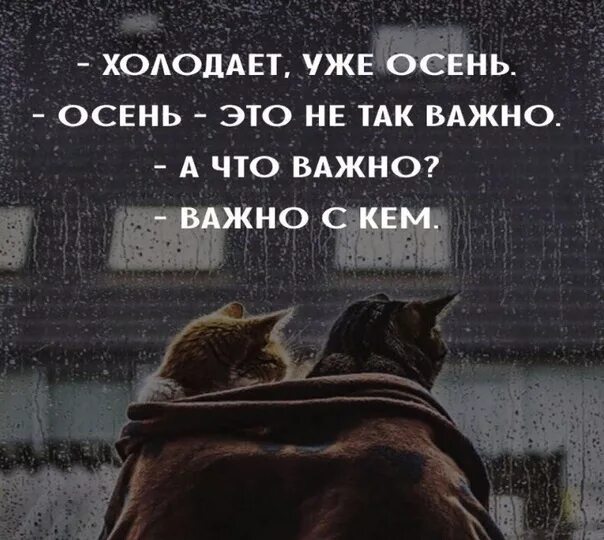 Важным ну важно ну. Холодает цитаты. Холодает осень цитаты. Холодает, уже осень. Не важно быть важным важно быть нужным.