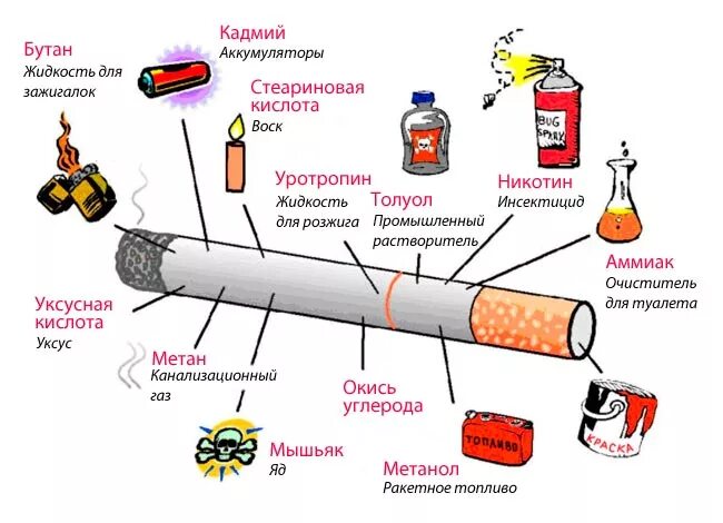 Сигарета вред состава. Содержание вредных веществ в табачном дыме. сигареты состав вредных веществ. состав сигарет схема. состав табачного дыма схема.