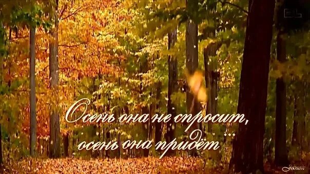 Осень она не спросит осень она придет текст. Песня осень она не спросит. А осень она не спросит стихи. Осень она не спросит осень она. А осень она не спросит стихи.