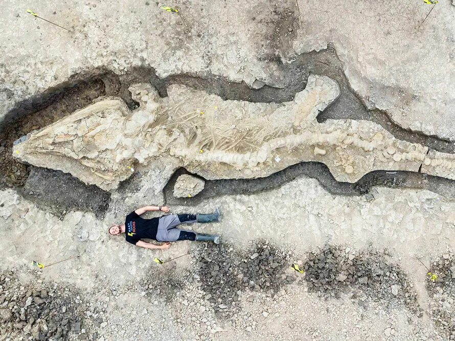 Нашли доисторическую девушку 40 миллионов лет. Нашли останки драконов. Ученые нашли останки динозавра. Раскопки гигантских людей. Палеонтолог.