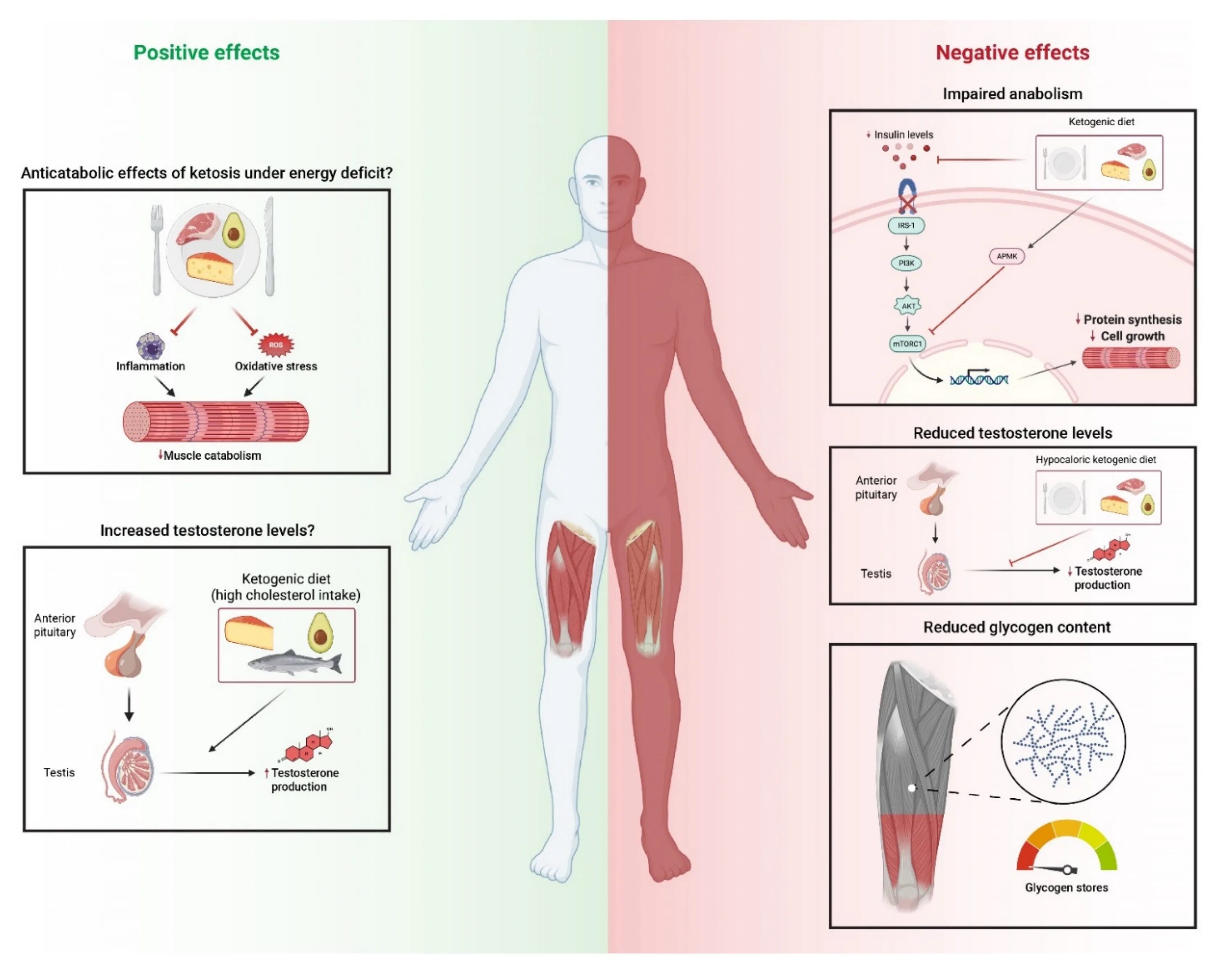 Position effect