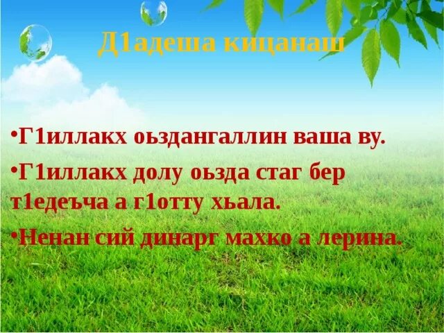 Нохчийн мотт дожарш. Нохчийн г1иллакх. Нохчийн кицанаш. Книги на чеченском языке. Кицанаш на чеченском языке.