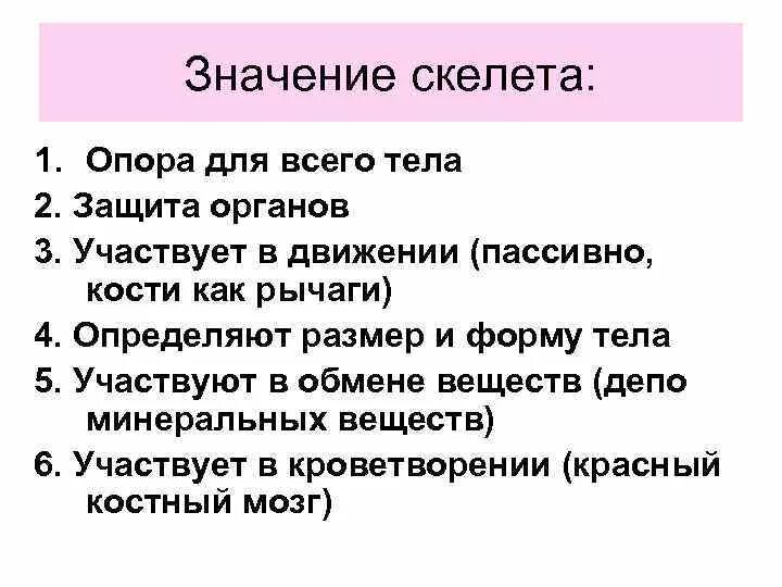 Значение скелета человека. Значение скелета. Каково значение скелета для человека. Значенич скелета.