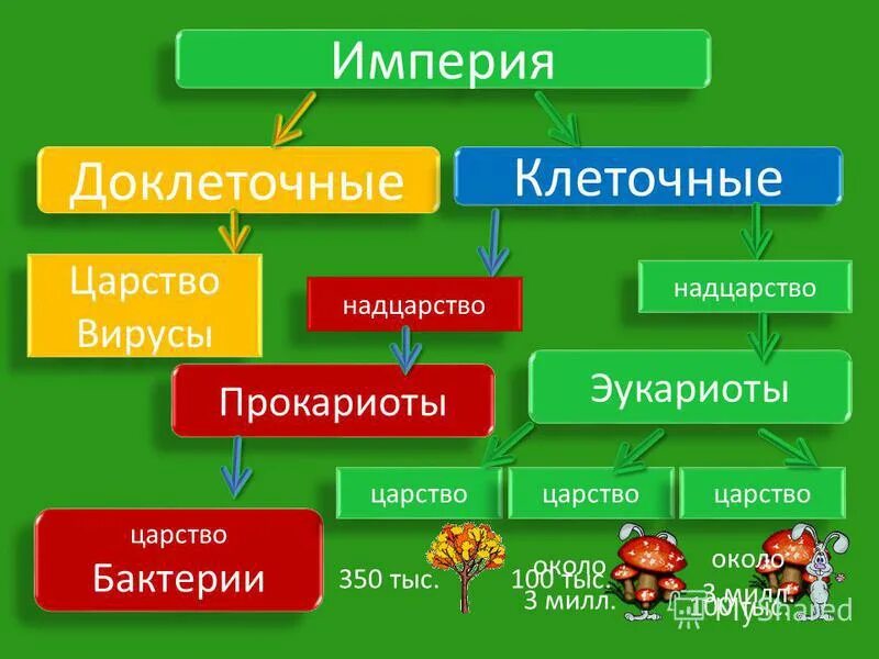 Доклеточные формы жизни. Доклеточные и клеточные формы жизни. Царство вирусы. Империя клеточные Надцарство.