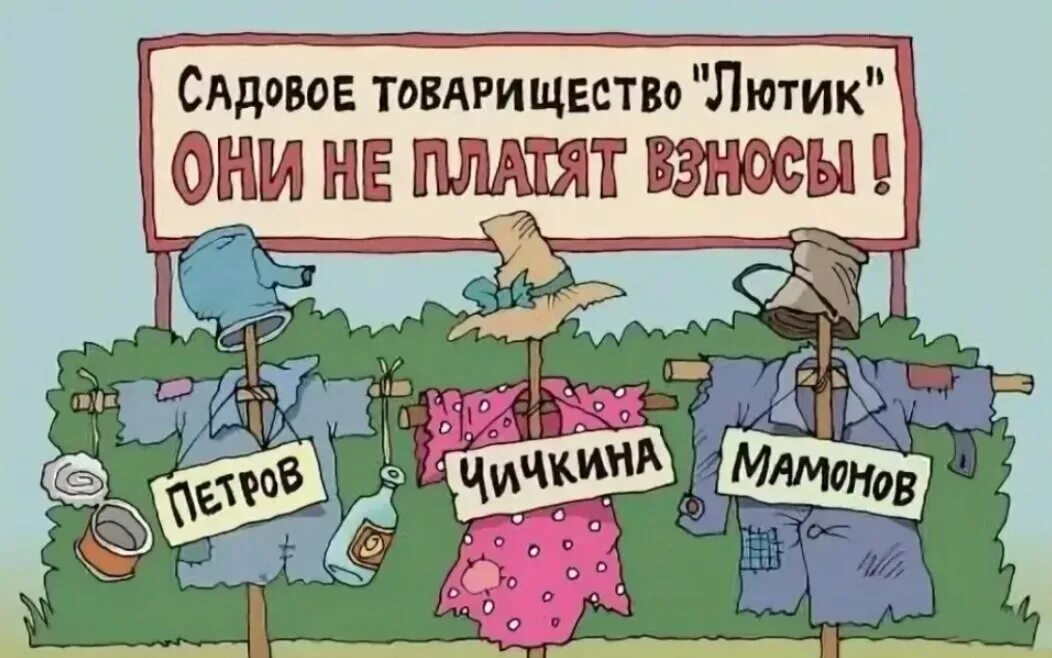 Про председателя. Снт карикатура. анекдот про председателя снт. взносы снт карикатура. должники по взносам в снт.