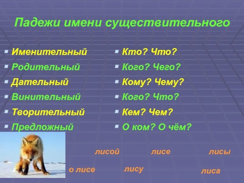 Как различить родительный падеж от винительного падежа. Лисица словарное слово 1 класс. Загадка про лисенка. Предложение про лису 1 класс русский язык. Предложение со словом лисица.