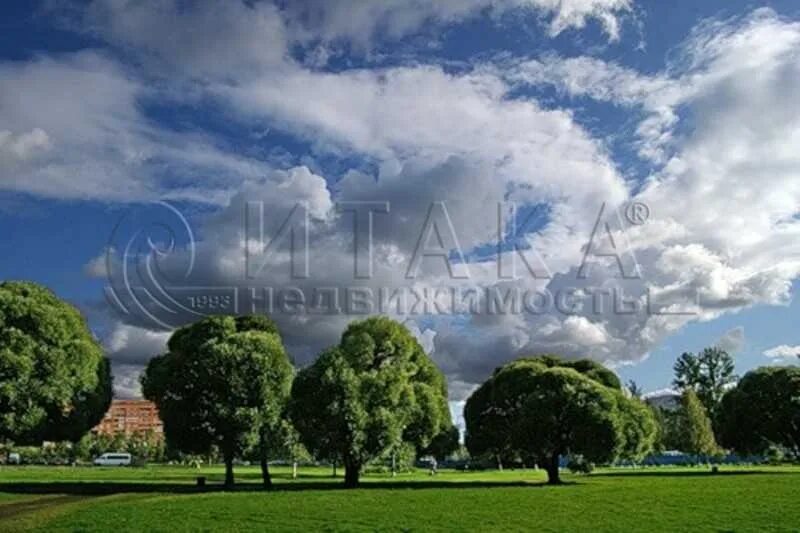 Пискарёвский лесопарк санкт-петербург. Пискаревский лесопарк. Пискаревский лесопарк. Пискарёвский лесопарк санкт-петербург. Пискаревский лесопарк.