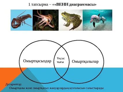 Харьковте қаржылық қолдауды қамтамасыз етпейтін жыныстық қатынас