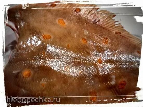 Кухня наизнанку рыба в микроволновке рецепт. Камбала в микроволновке. Камбала в микроволновке. Камбала в духовке целиком рецепты. Камбала в микроволновке рецепт с фото пошагово.