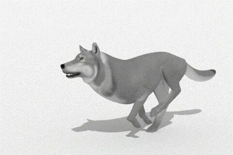 Волк анимация