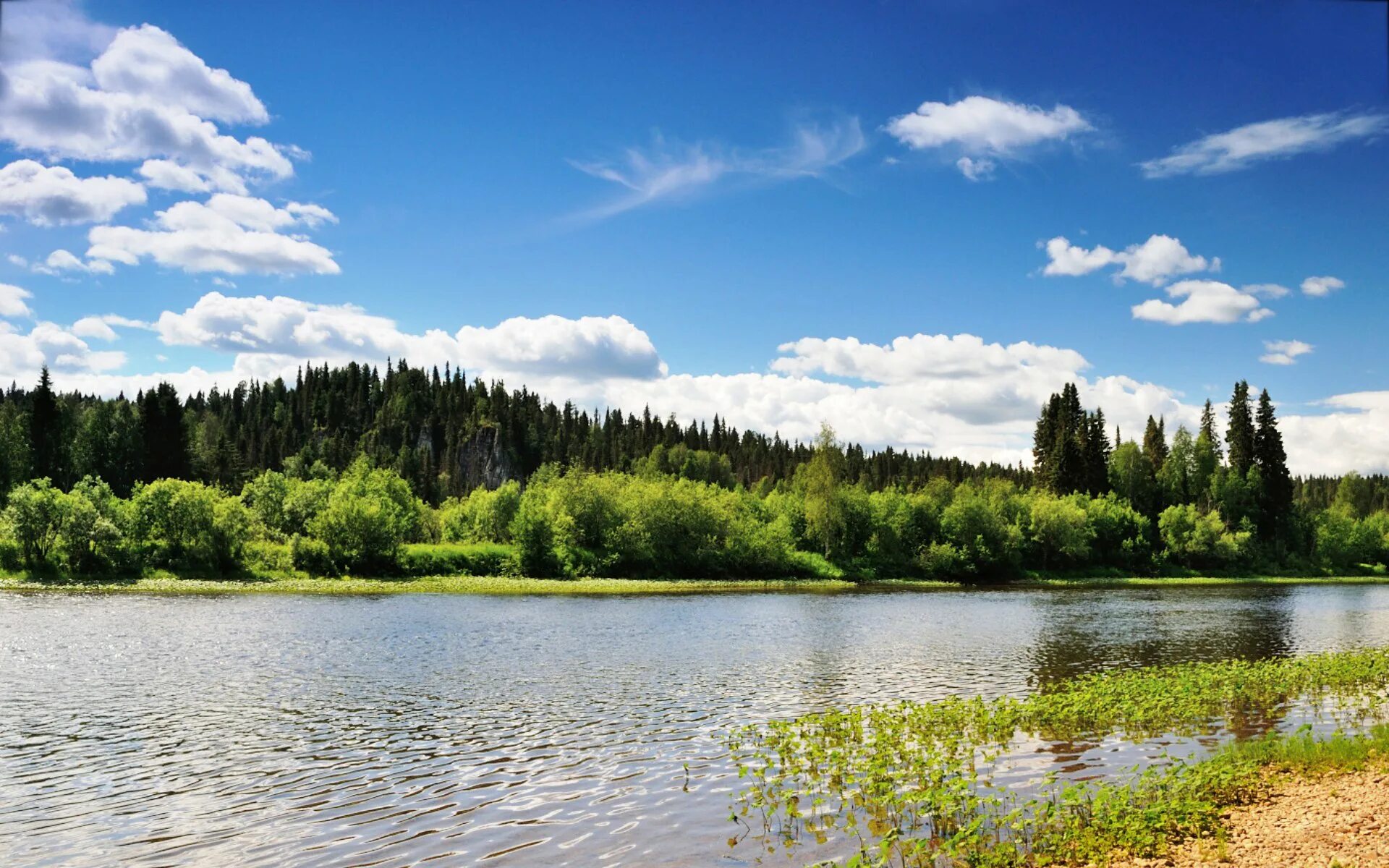 Природа Республики Коми Печора. Река Печора. Река Печора Коми. ПЕКА печёра. Река печора республика коми