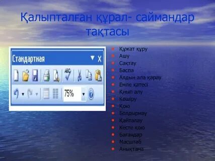 Word мәтіндік редакторы