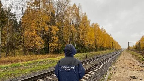Поезд беременным