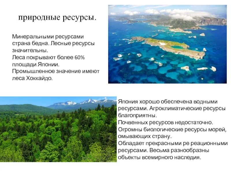 Ресурсы японского моря. Минеральные ресурсы японского моря. Природные ресурсы японского моря кратко. Минеральные ресурсы японского моря презентация. Природный потенциал японии