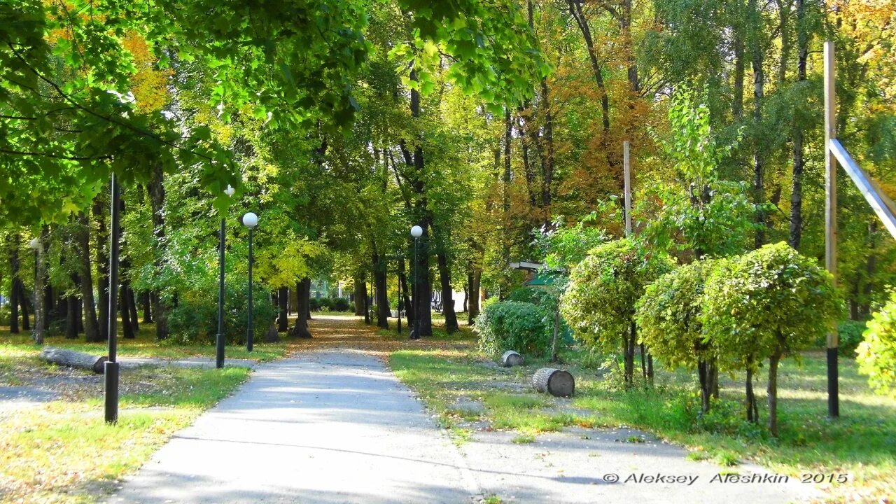 Сайт парка пенза. Комсомольский парк Пенза. Олимпийский парк Пенза. Пенза Олимпийская сквер. ПКИО Комсомольский Пенза.