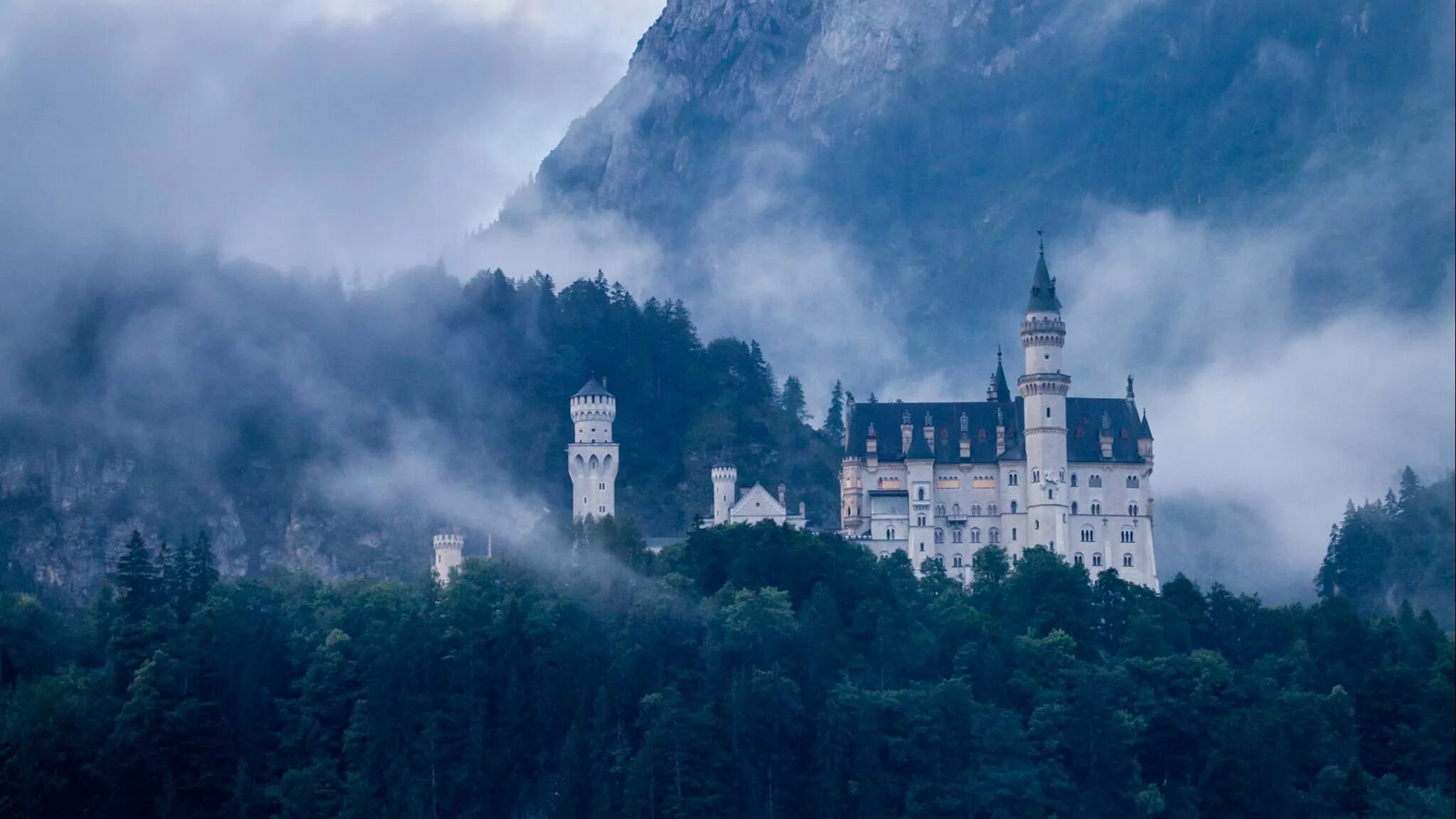 Forest castle. Замок Нойшванштайн в тумане. Шварцвальд замок. Ночной замок Нойшванштайн 4к. Нойшванштайн мрачный.