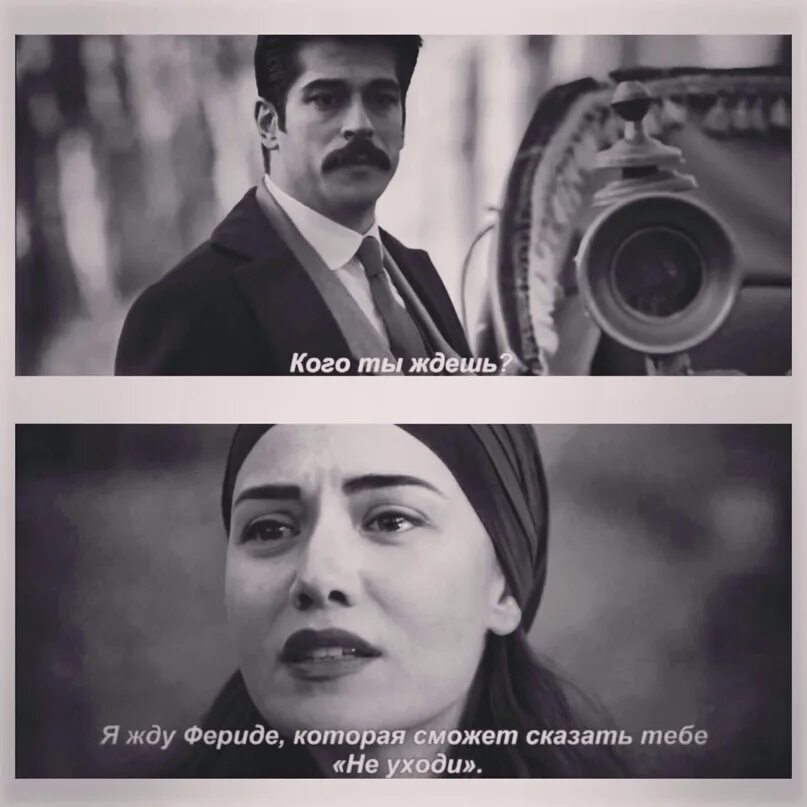 Цитаты королек птичка. Цитаты из книги королек птичка певчая. Фразы из турецких сериалов. Цитаты королек птичка. Фразы из королька.