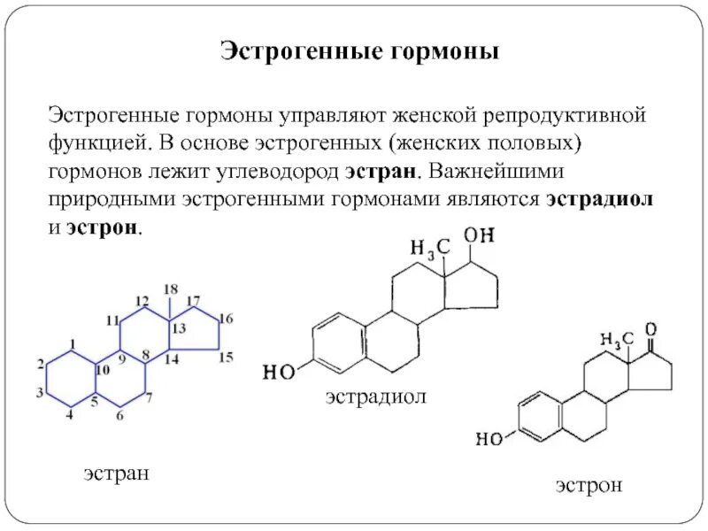 Эстрадиол гормон у мужчин. Половые гормоны. Женские половые гормоны. Образование половых гормонов. Функции женских половых гормонов.