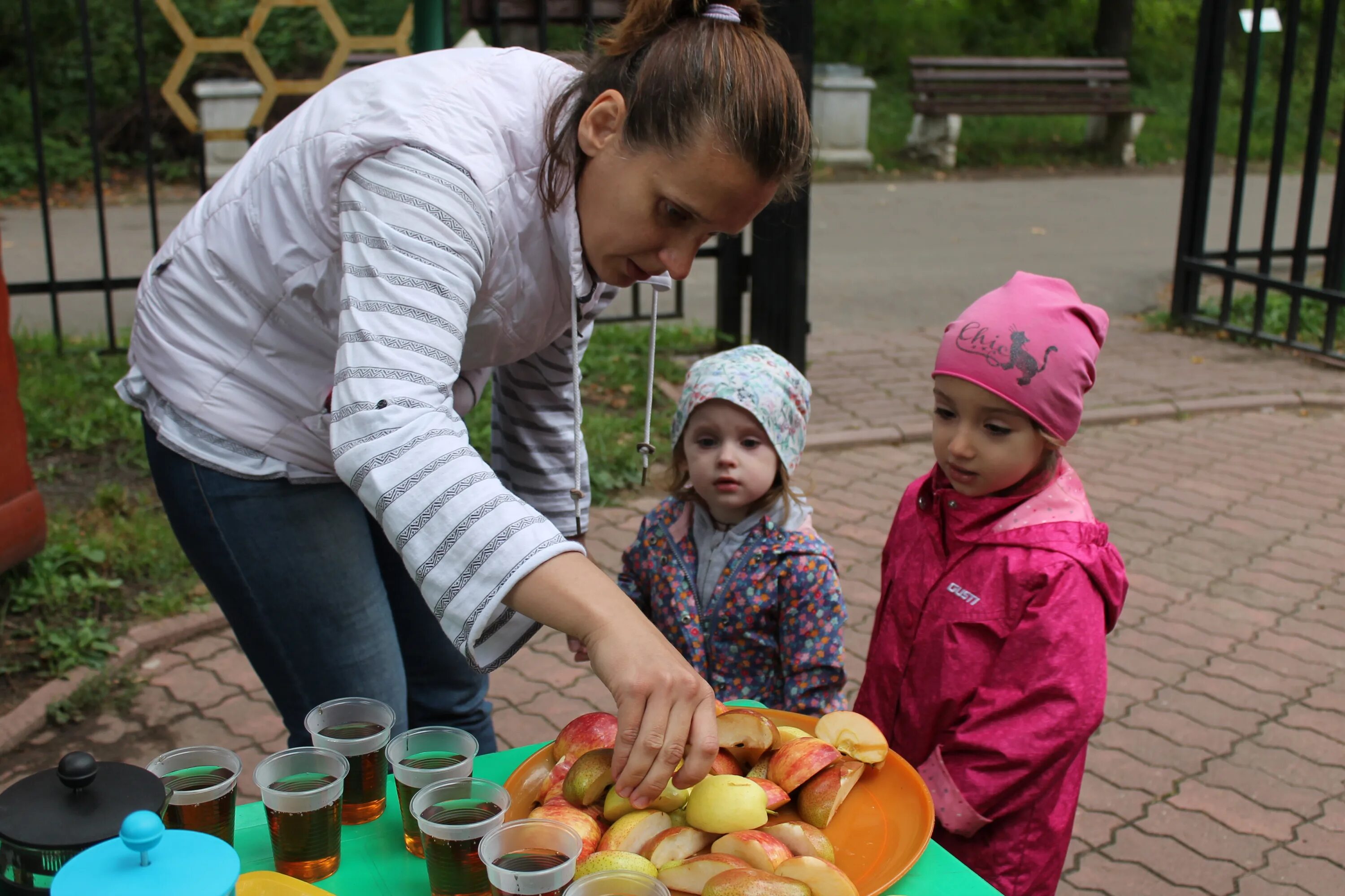 где открыли сады. сиреневый сад черкизовская. открытый сад ижевск вид сверху. шан-де-батай регулярный стиль. сады англии миксбордеры.