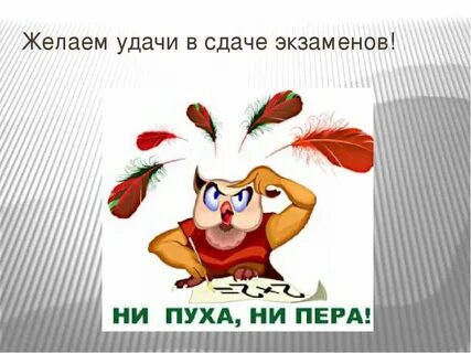 Удачи сдачи