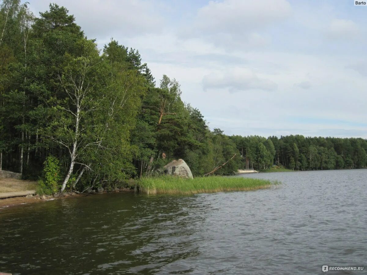 Лагерь зеркальный выборг. Дружинное озеро зеленогорск. Озеро зеркальное ленинградская область. Ленинградская область база отдыха озеро зеркальное. Детский лагерь зеркальный ленинградская область.