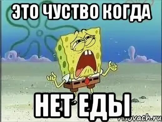 Есть любимая еда нет нет потому. Нет еде. еды нет мем. когда нет еды. ем за еду мем.