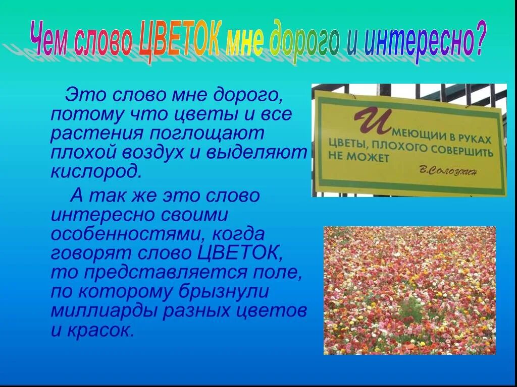 Подчеркнуть слова трава цветок. Текст о растении. Цветок для слов в презентацию. Слово цветы. Цветы для текста.