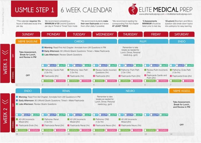 USMLE план подготовки. USMLE Step 1. USMLE Step 1 Test. Направления USMLE. Usmle step