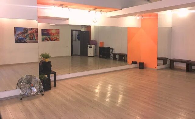 Аренда танцевального зала в москве. Декор стен в хореографическом зале. Зал на парковом. Бронировали зал. Лофт балетные станки.