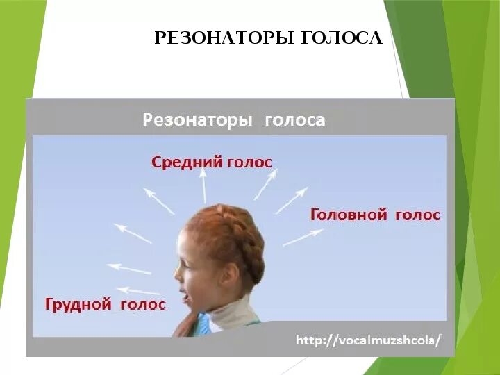 Голосовые резонаторы. Резонаторы голоса. Резонаторы в пении. Резонаторы в голосовом аппарате человека. Верхние головные резонаторы.