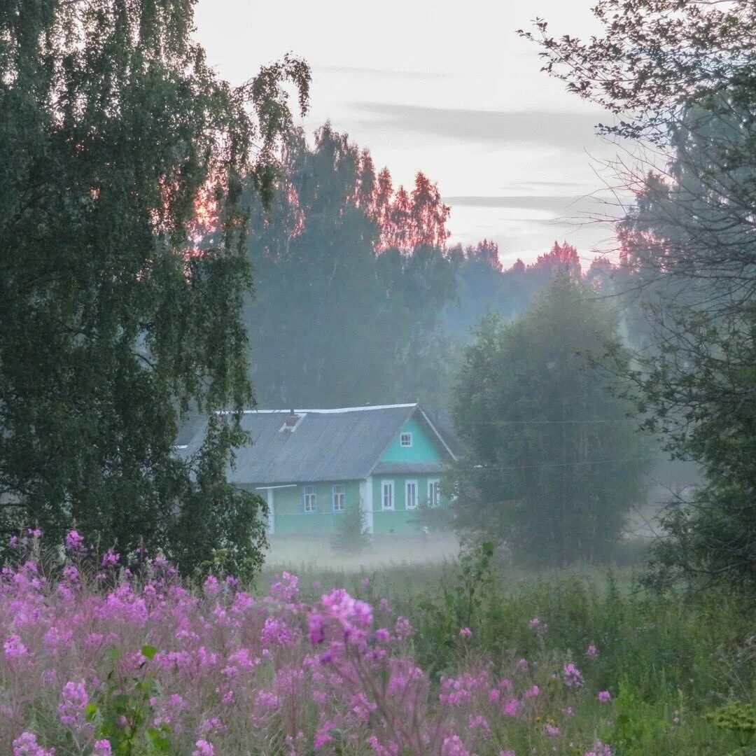 Эта простота деревенской жизни. Деревня estetica лето. Деревня летом. Деревенский пейзаж. Сельская природа.