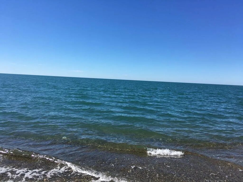 Отель black sea сухум. Абхазия сухум море. сухум акуа. aqua resort абхазия сухум. сухуми море фото.