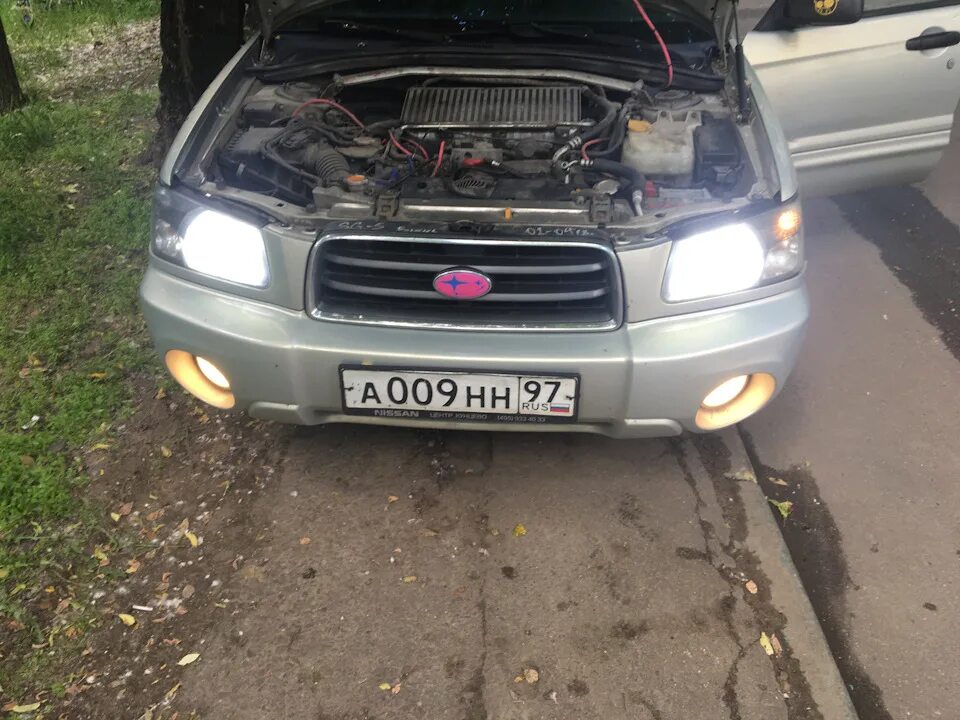 Лампы форестер sg5. Лампочки в туманки subaru forester sf5. Лампочки поворотников субару форестер sf. Forester sg5 дорестайл. Лампы в поворотники c дхо subaru forester sg5.