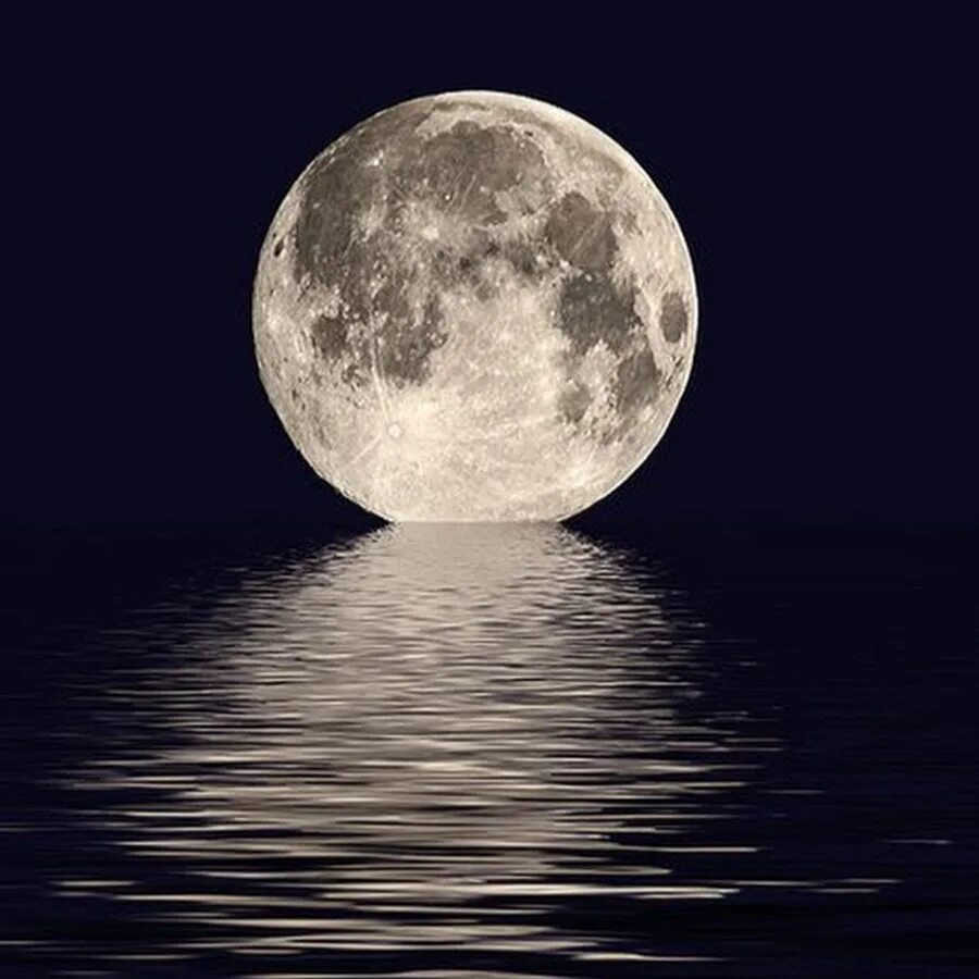 Луна купается. Луна. Отражение Луны. Отражение Луны в воде. Вода на Луне.